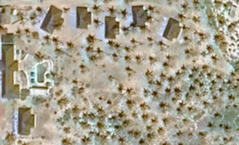 ホテル Blue Moon Beach Holiday Resort