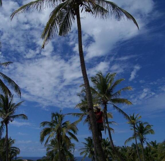 ホテル Blue Moon Beach Holiday Resort