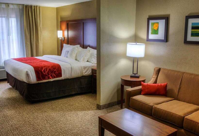 酒店 Comfort Suites Plymouth Near Us 30