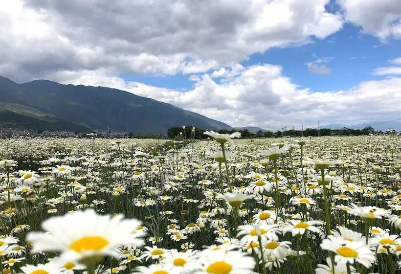 هتل Sky Valley Heritage Boutique