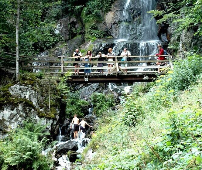 בית מלון כפרי Des Vosges