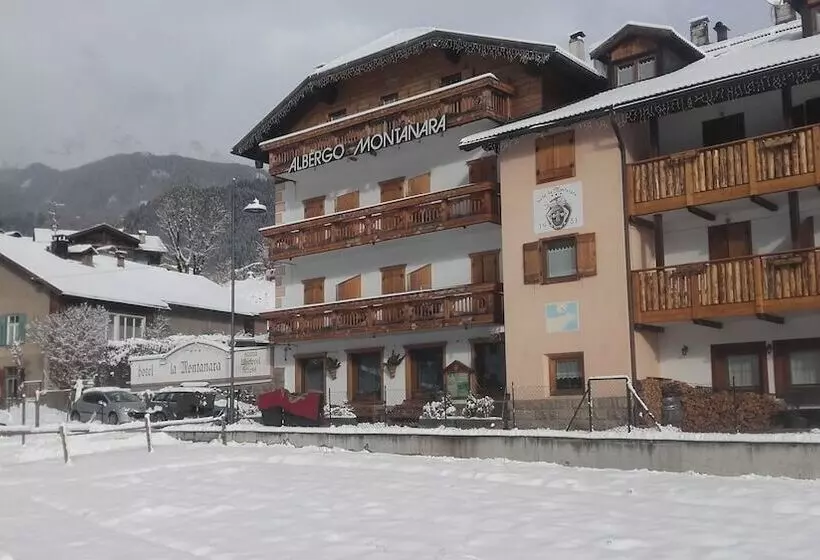 Отель La Montanara Predazzo