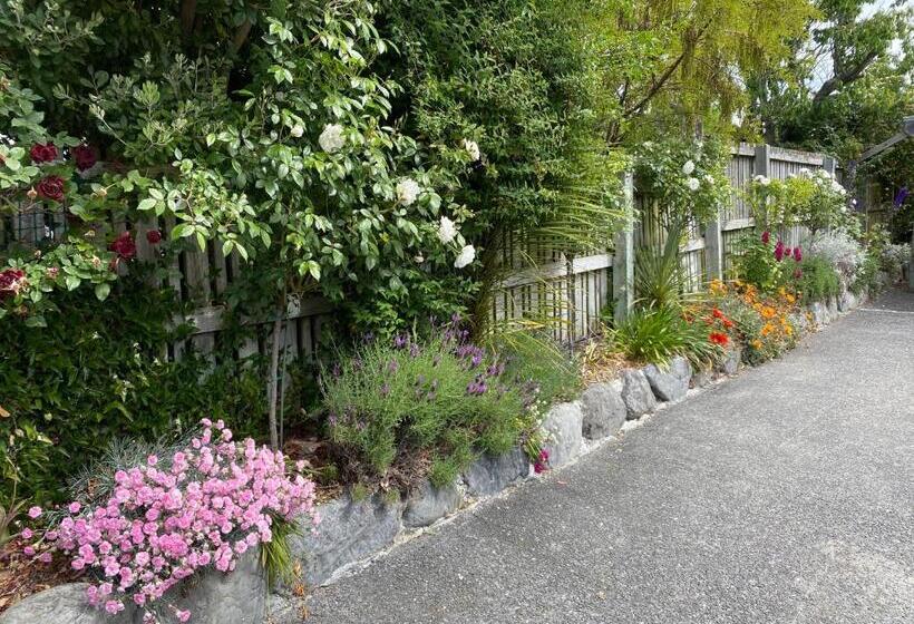 فندق Nikau Lodge