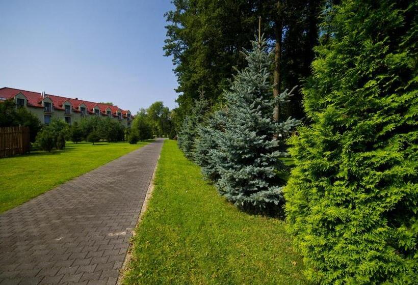 فندق Ośrodek Delfin