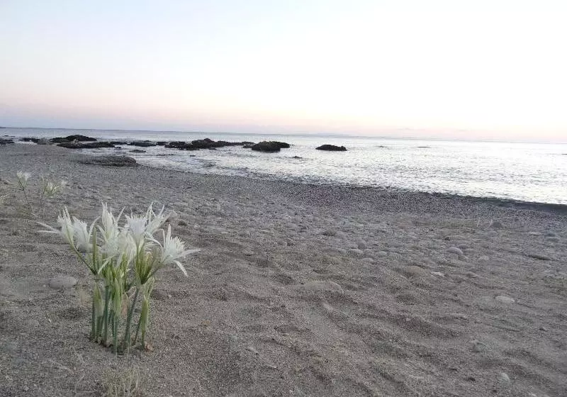 ホテル Thalassa House Apartments