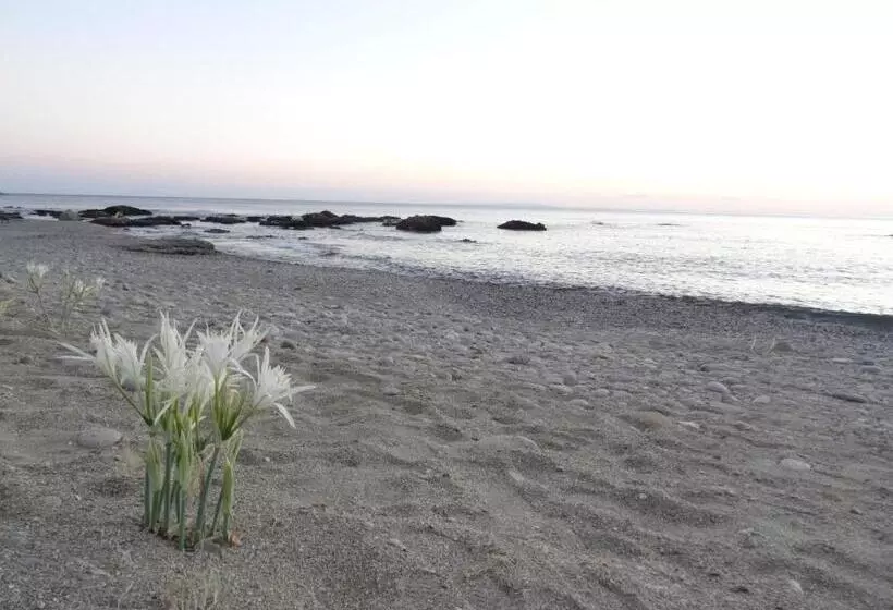 ホテル Thalassa House Apartments