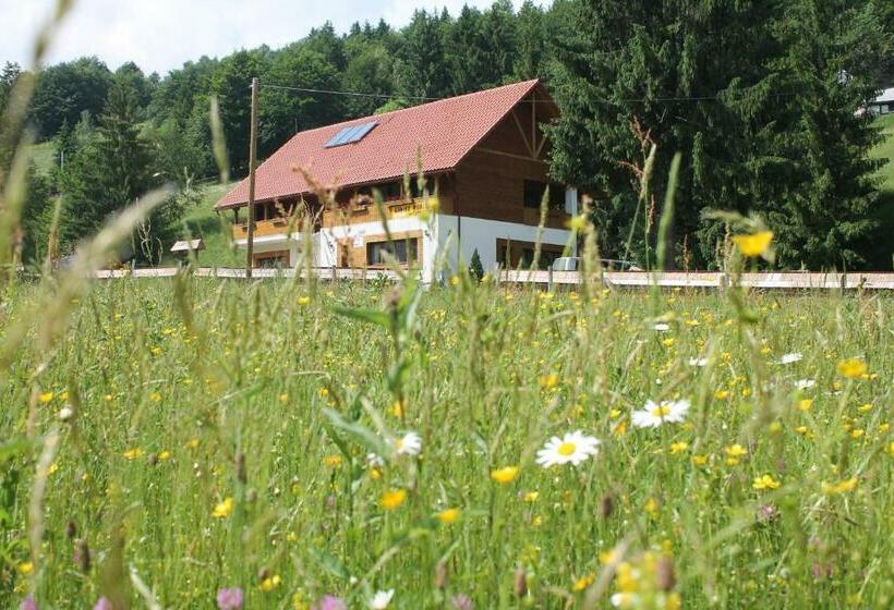 بنسيون Arnica Montana