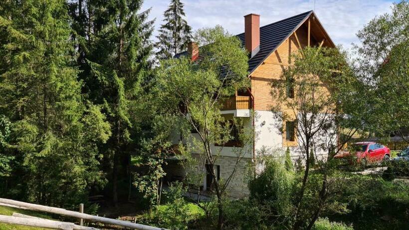 بنسيون Arnica Montana