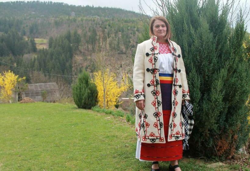 بنسيون Arnica Montana