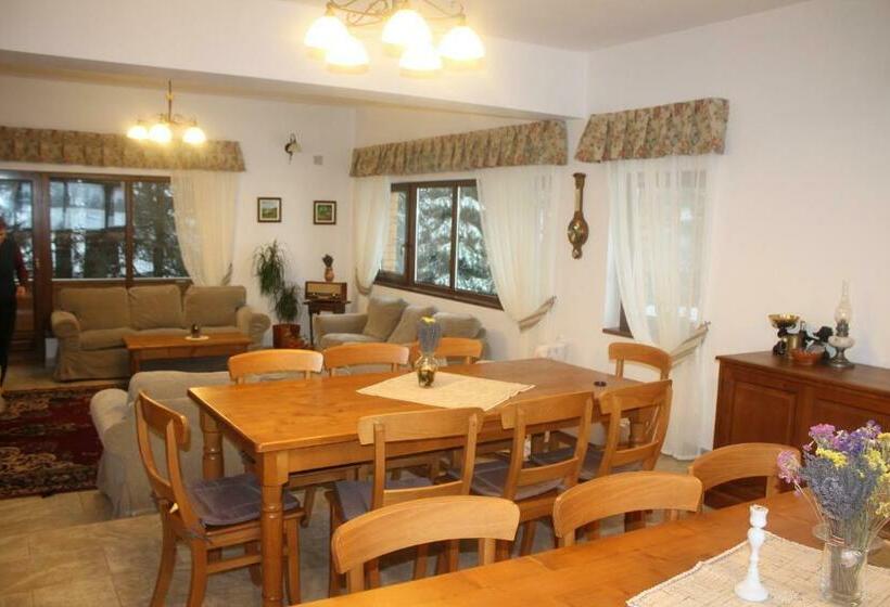 بنسيون Arnica Montana