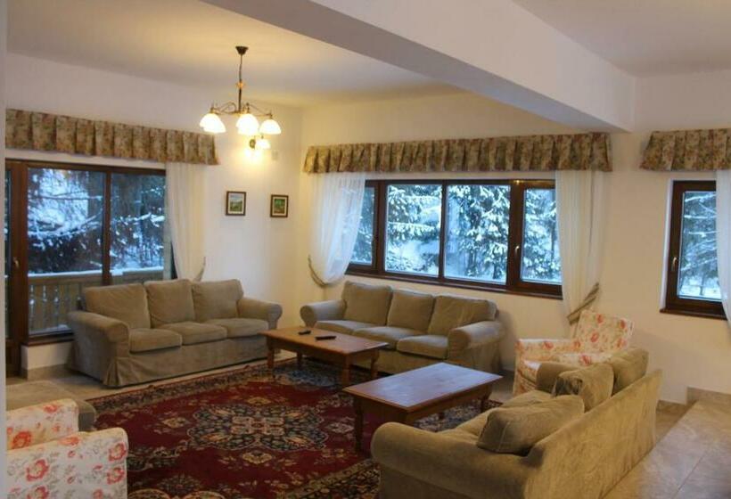 بنسيون Arnica Montana