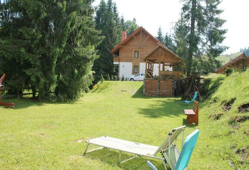 بنسيون Arnica Montana