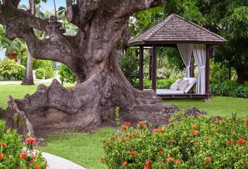 استراحتگاه Sandals Halcyon Beach - All Inclusive Couples Only