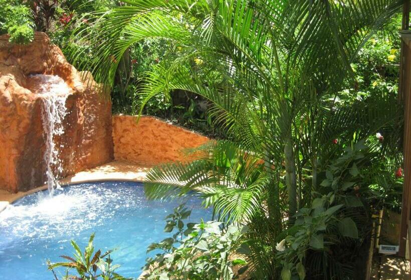 Roatan Backpackers  Hostel