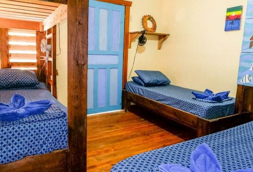 Roatan Backpackers  Hostel