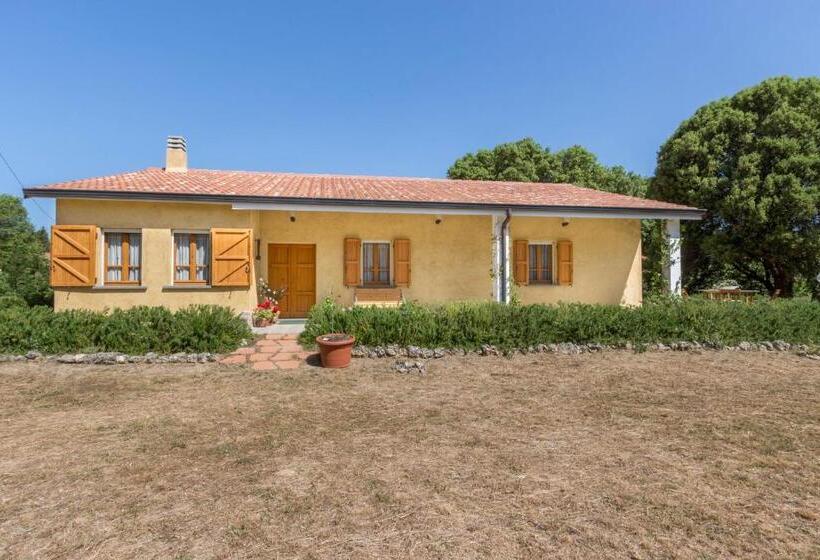 ベッドアンドブレックファースト Su Pitiolu   Casa Vacanze