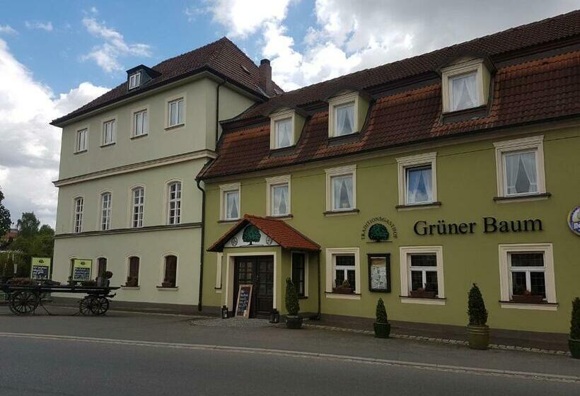 호텔 Traditionsgasthof Grüner Baum