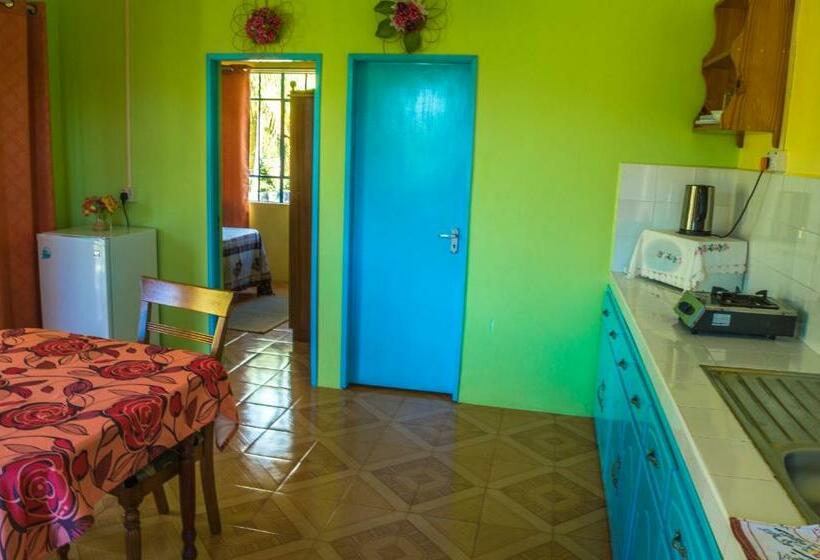 پانسیون Merlin Guest House