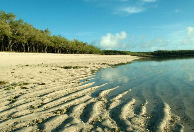 پانسیون Merlin Guest House