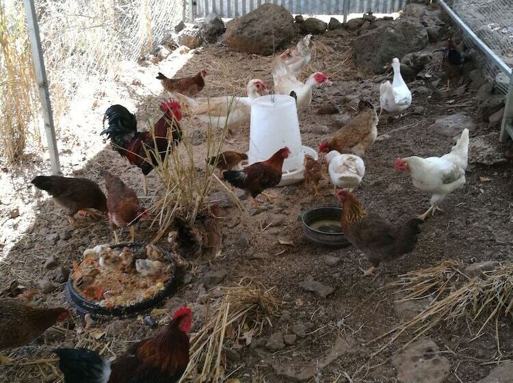 پانسیون Rêve Des îles Guesthouse