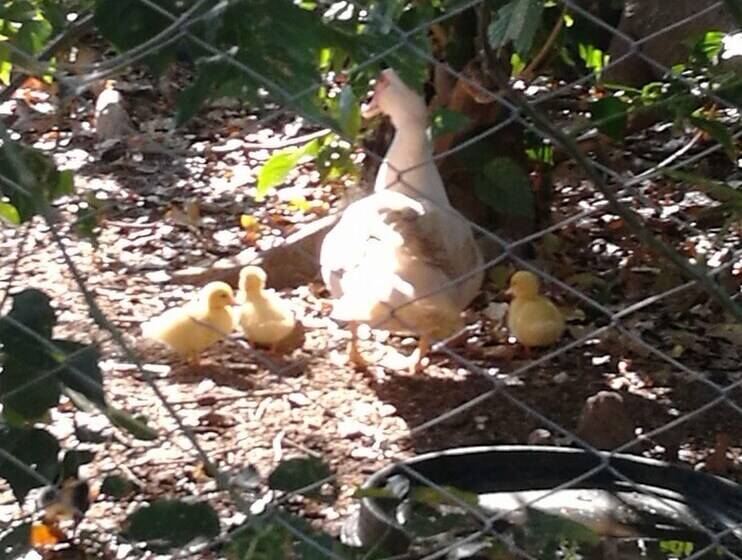 پانسیون Rêve Des îles Guesthouse