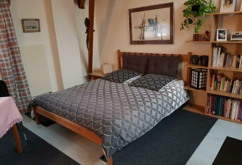 بنسيون Villa Le Rabailly