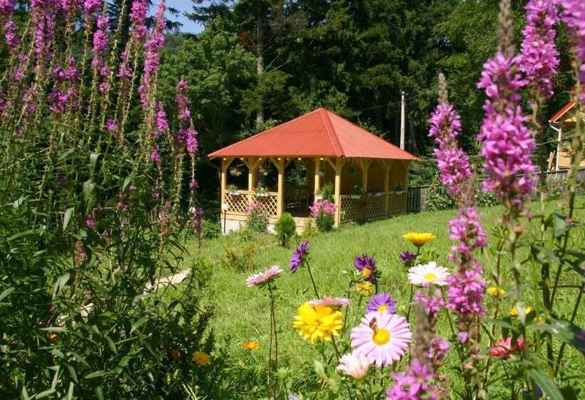 استراحتگاه Perla Bálványos Gyöngye