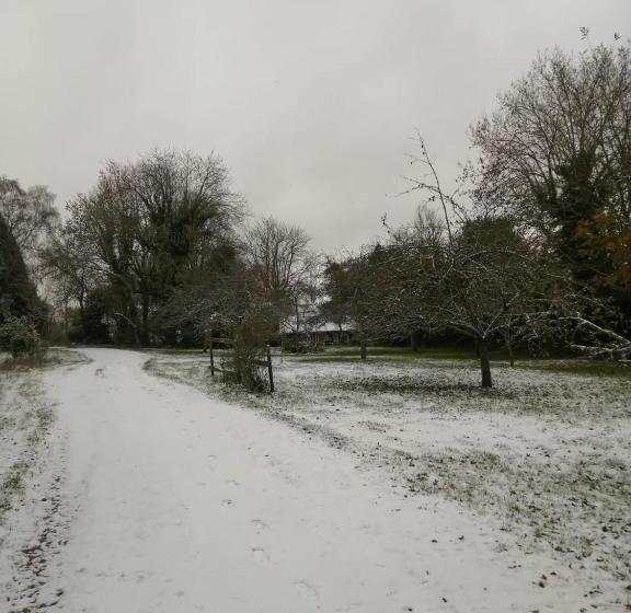 Bed and Breakfast Lait & Lit