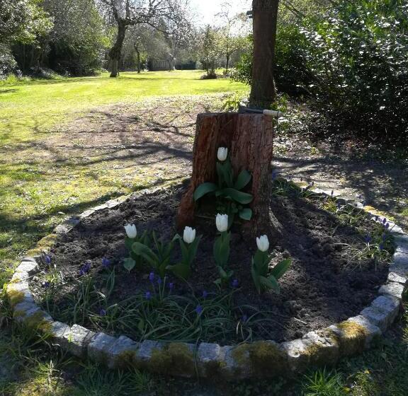 Bed and Breakfast Lait & Lit