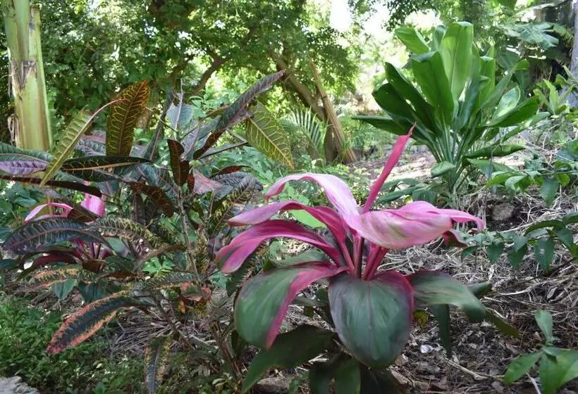 تختخواب و صبحانه Les Antigones