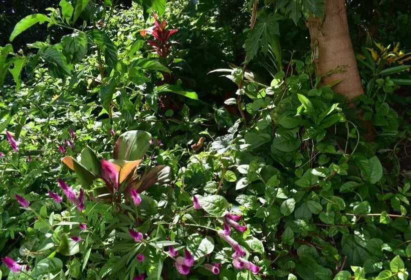 تختخواب و صبحانه Les Antigones