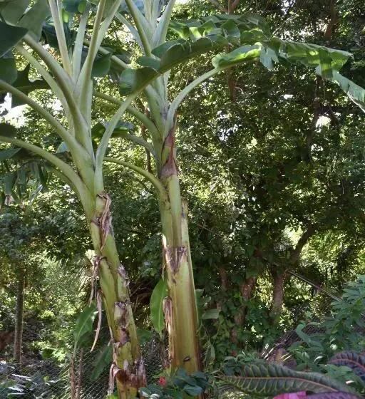 تختخواب و صبحانه Les Antigones