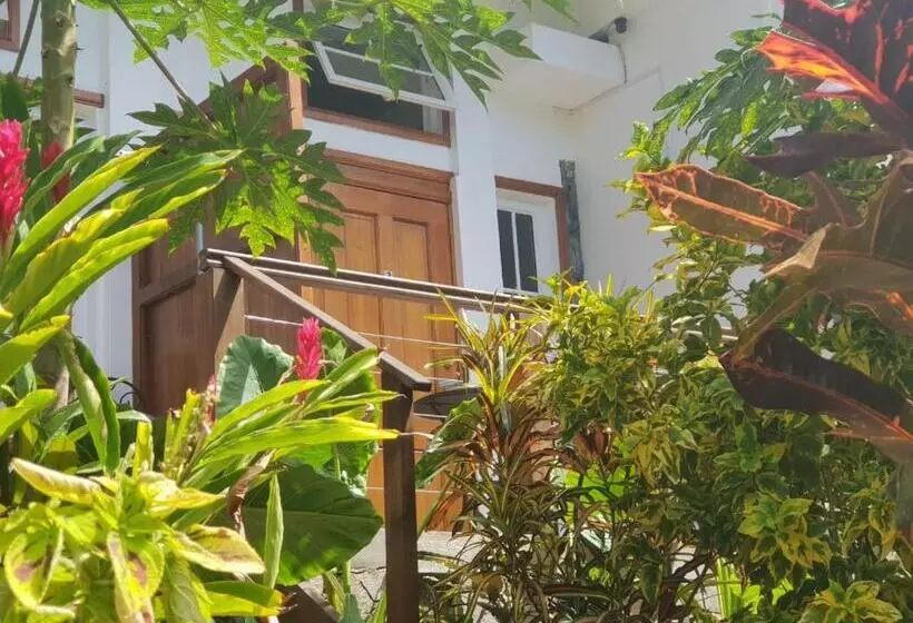 تختخواب و صبحانه Les Antigones