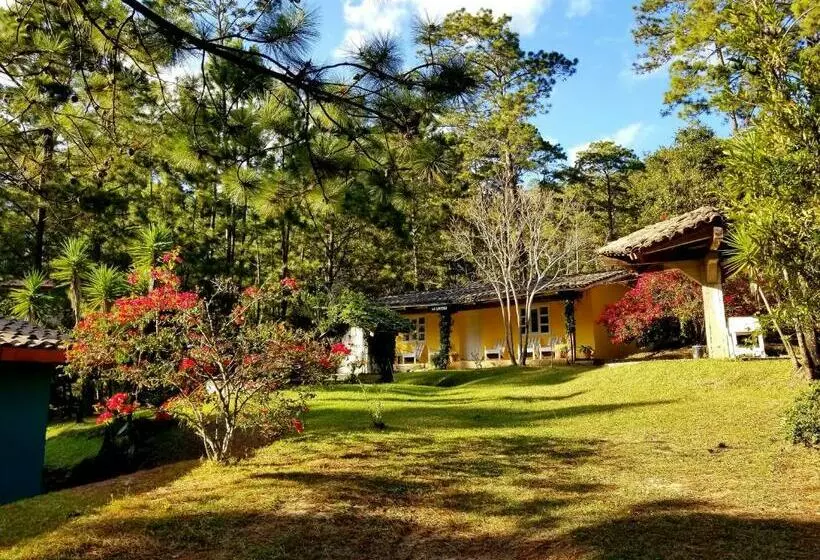 هتل Cabañas Bosque Llano De La Virgen