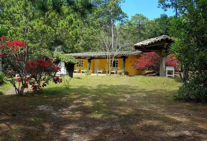 هتل Cabañas Bosque Llano De La Virgen
