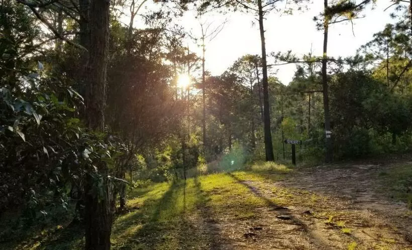 هتل Cabañas Bosque Llano De La Virgen
