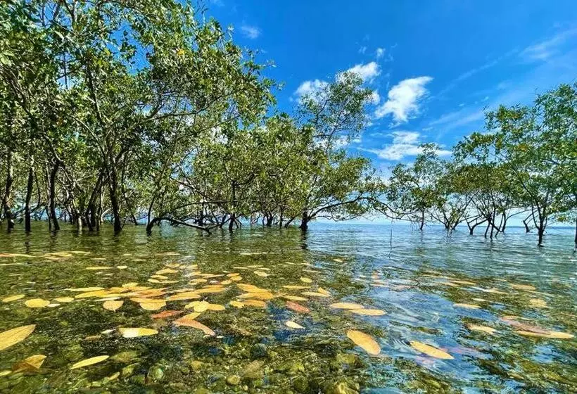 ホテル Terrazas Del Golfo