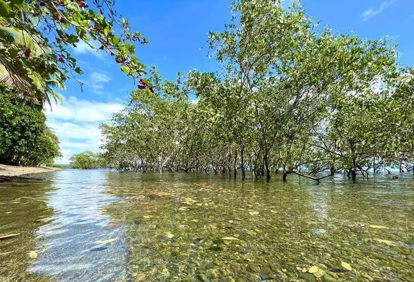 ホテル Terrazas Del Golfo