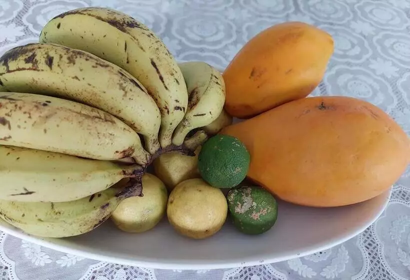 پانسیون Aitutaki Budget Accommodation