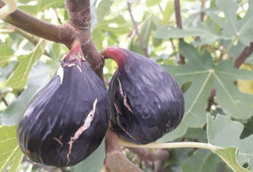 펜션 Le Perche Céronnais