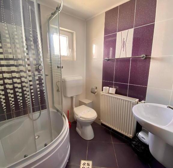 Pensjonat Regina Munților