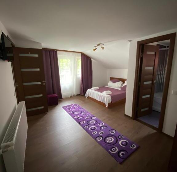 Pensjonat Regina Munților