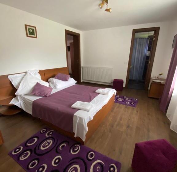 Pensjonat Regina Munților