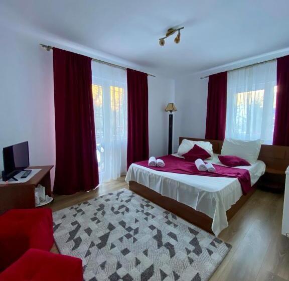 Pensjonat Regina Munților