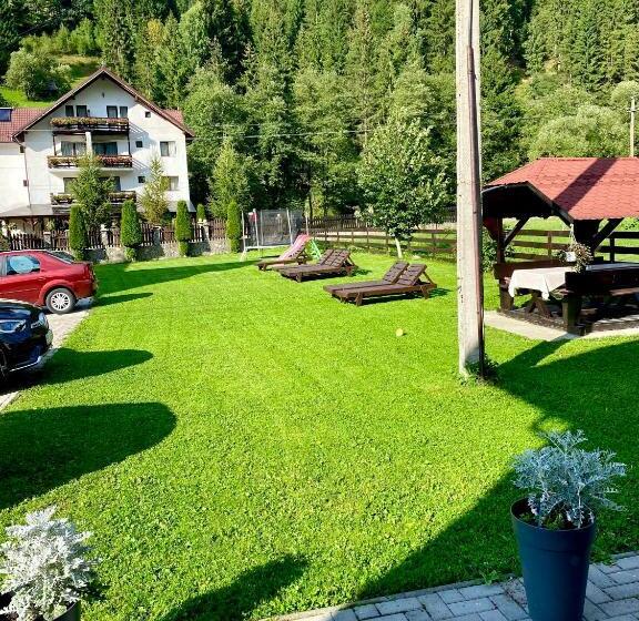 Pensjonat Regina Munților