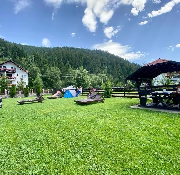 Pensjonat Regina Munților