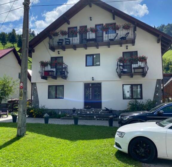 Pensjonat Regina Munților