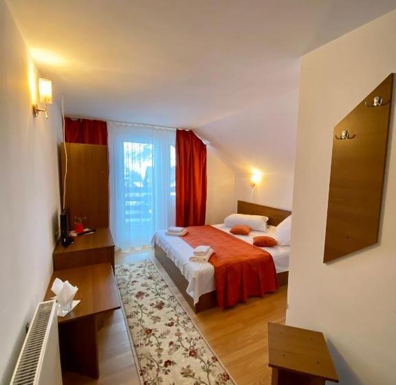 Pensjonat Regina Munților