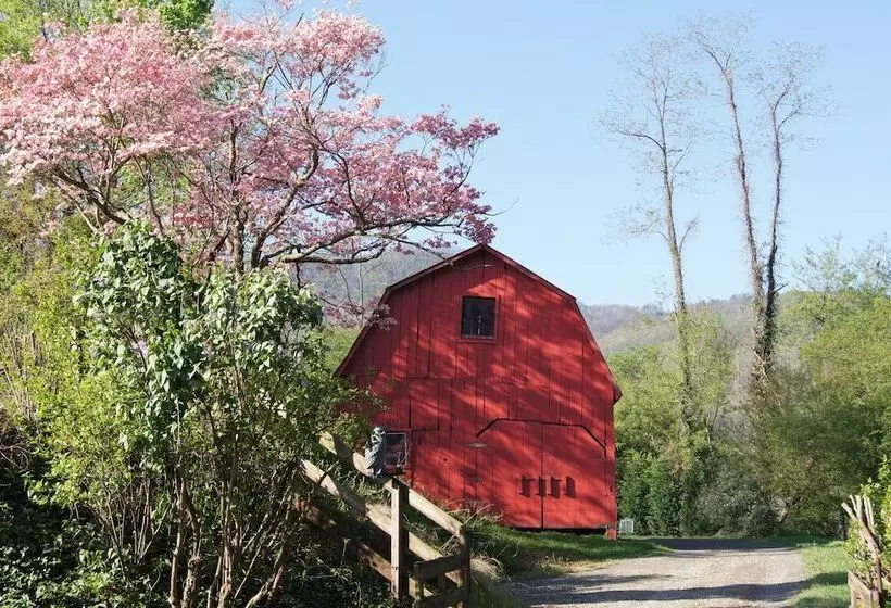 住宿加早餐 Engadine Inn & Cabins