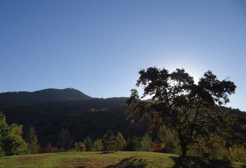 Bed and Breakfast Engadine Inn & Cabins